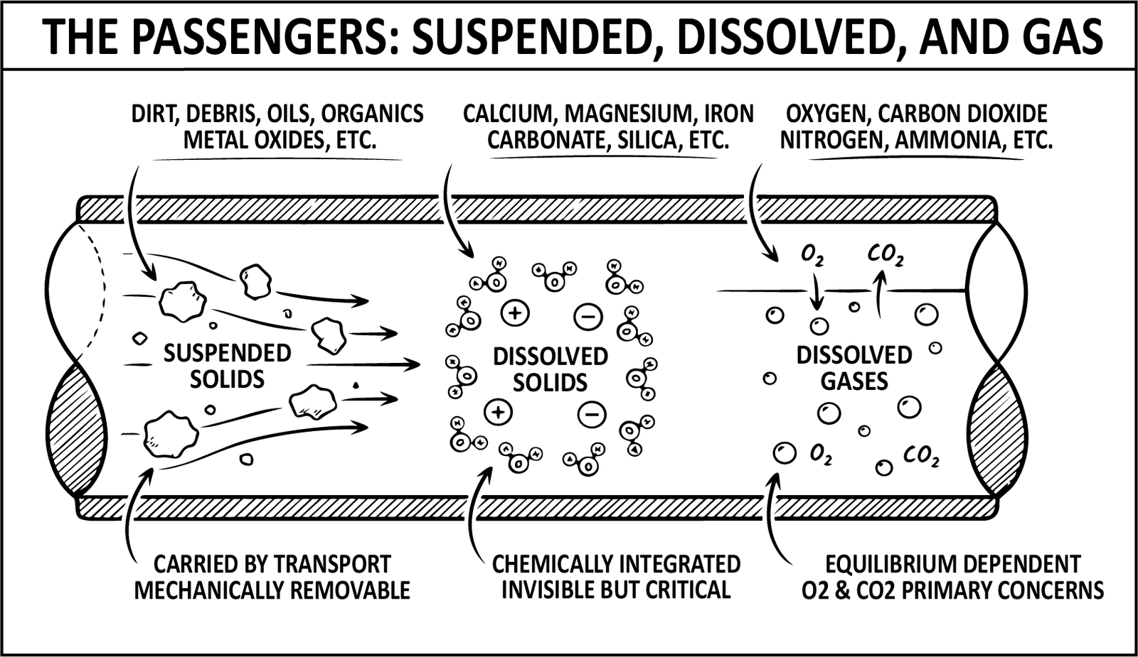 A cutaway pipe carrying three classes of load: suspended solids that are mechanically removable, dissolved solids that are chemically integrated and invisible, and dissolved gases whose amount depends on equilibrium.