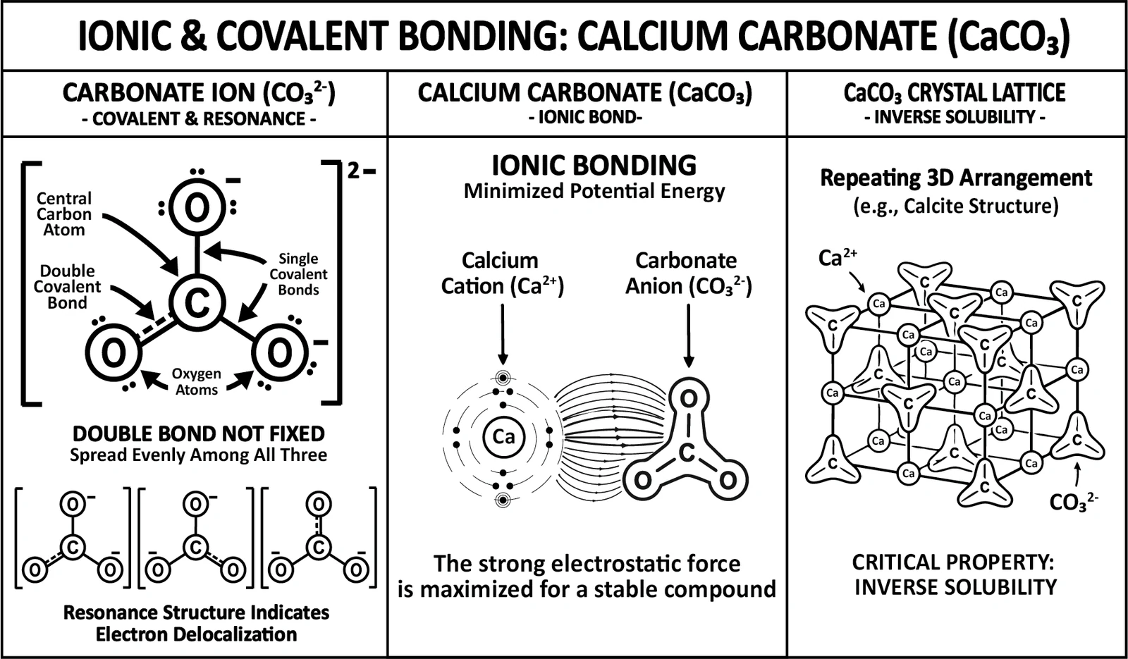 The carbonate ion drawn as resonance structures with its double bond spread evenly across three oxygens, the ionic bond joining it to calcium, and the calcite crystal lattice, annotated as inversely soluble.